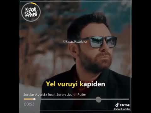 Serdar Ayyıldız feat. Seren Uzun - Pulim