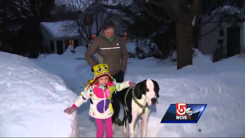 Service dog gives girl with rare disease a helping hand