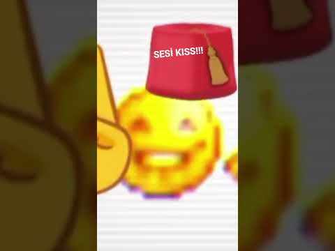 SESİ KIS