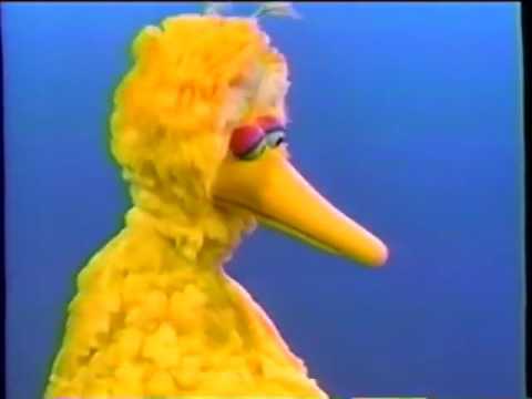 Sesame Street   Big Bird Catches a Ball