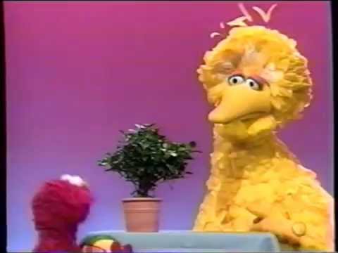 Sesame Street - Elmo Plays with Gloria