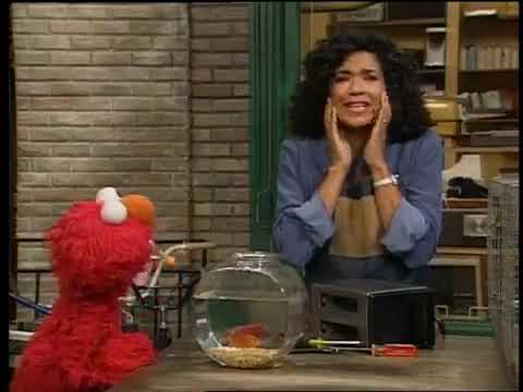 Sesame Street Episode 3791 (FULL)