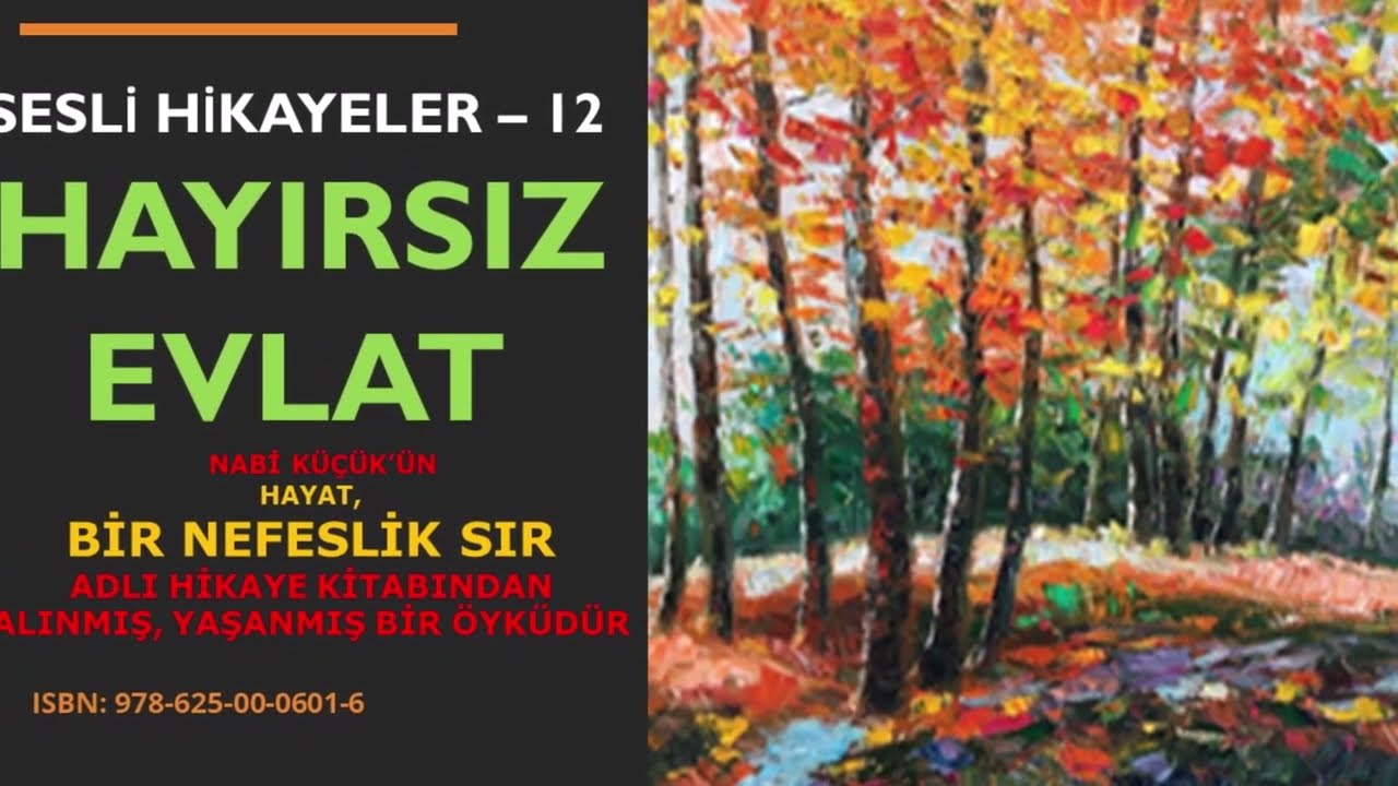 SESLİ HİKAYELER 12  