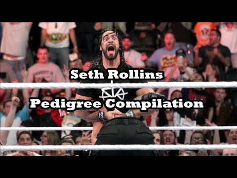 Seth Rollins Pedigree Compilation