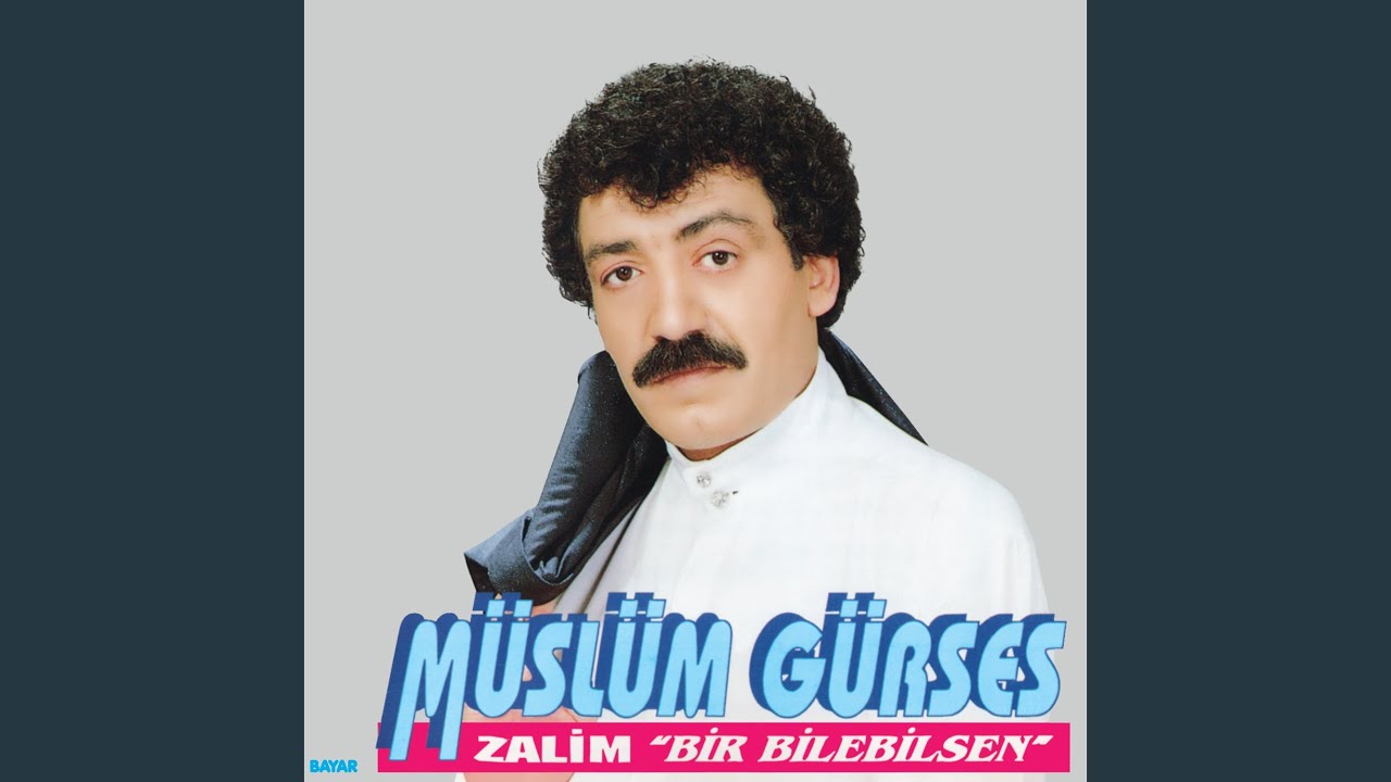 Sev Bir Daha