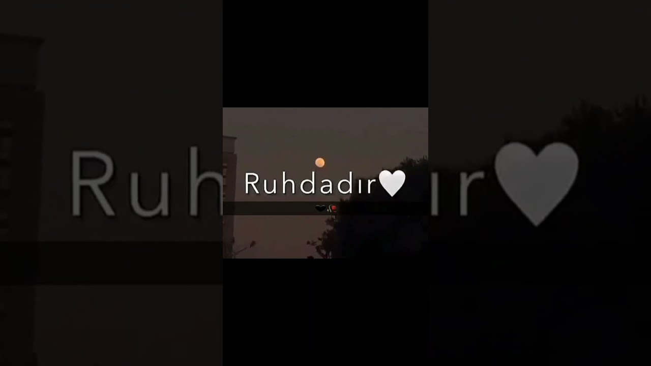 sevgi qelbdedii...Status videolari Vhatdap ucun yeni mahnilar trend musiqiler status mahnilari #