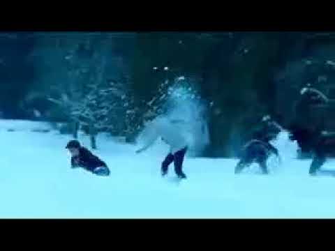 Sevgiye gore olmekde olar