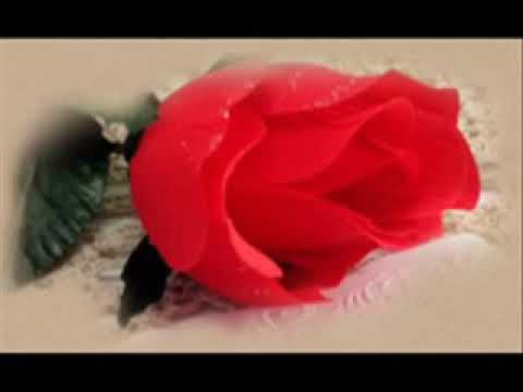 SEVİLAY GENÇ  ( ZALIM YILLAR )