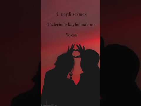 sevmek...
