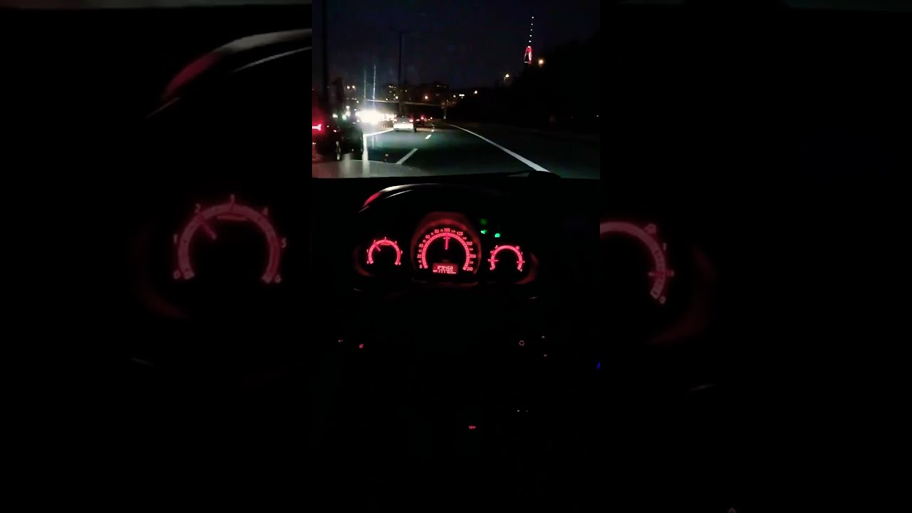 Sezen Aksu snap