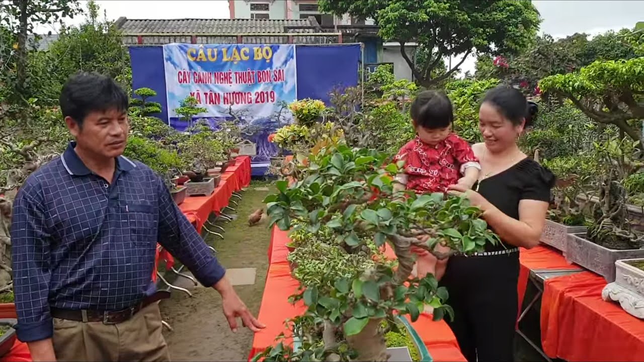 SH.2348.Thăm vườn cảnh Nguyễn Văn Chiến. Xã Tân Hương. Ninh Giang.Hải Dương