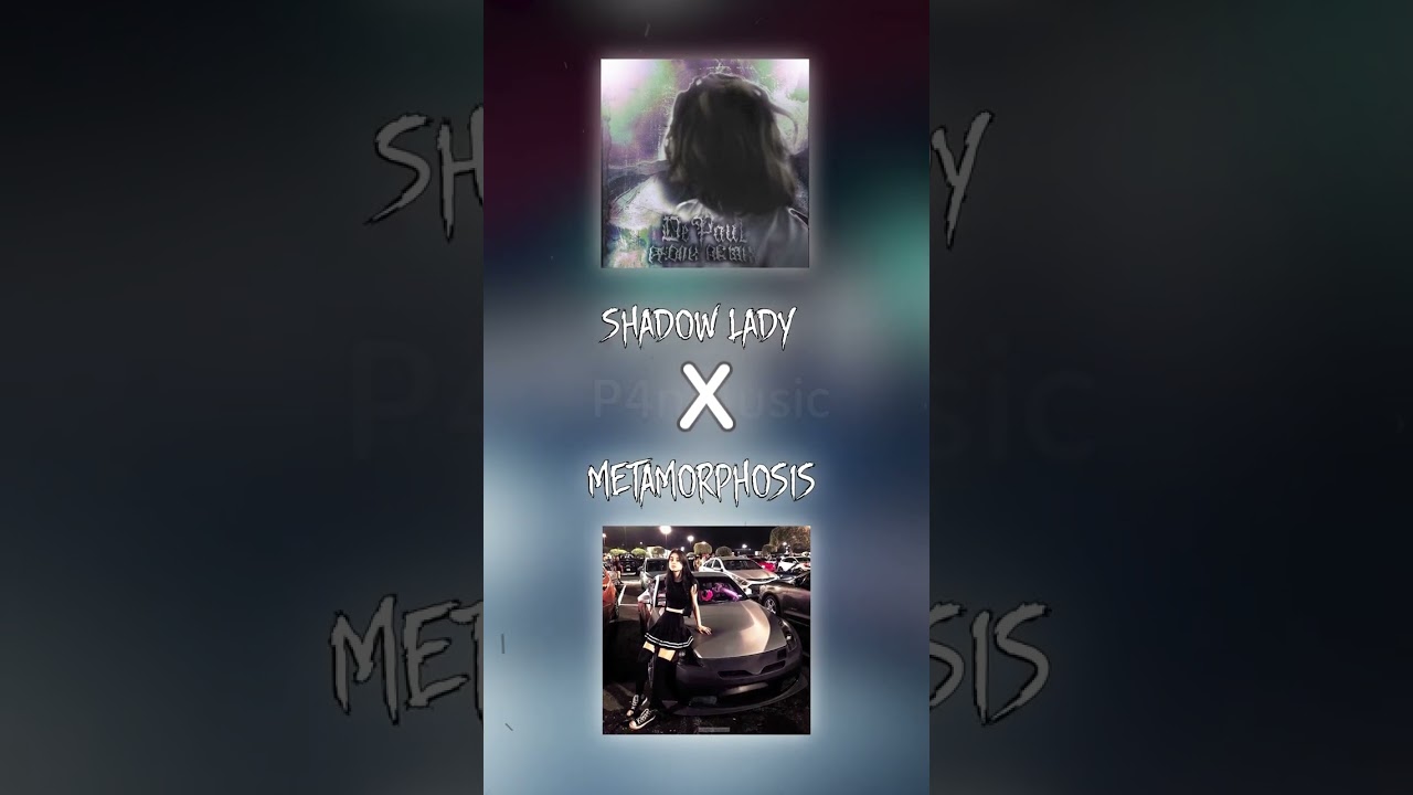 SHADOW LADY x METAMORPHOSIS || [P4nMusic TIKTOK MASHUP]
