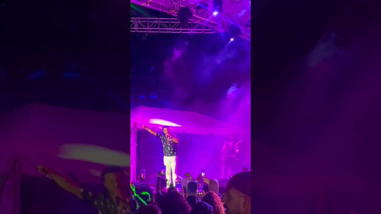 Shaggy