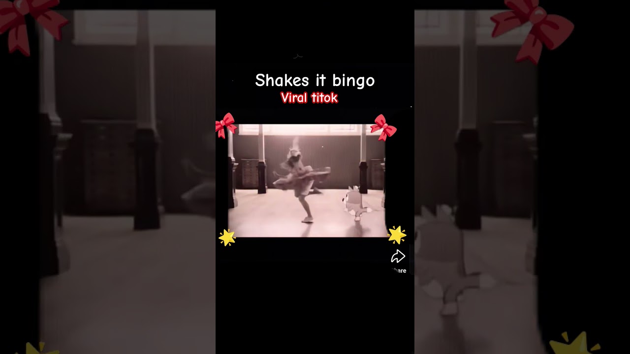 shake it bingo🎀