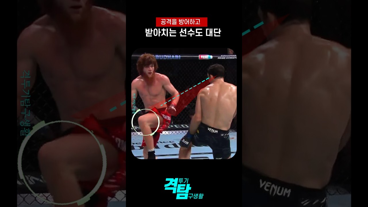 Shara Magomedov’s double backfist #mma