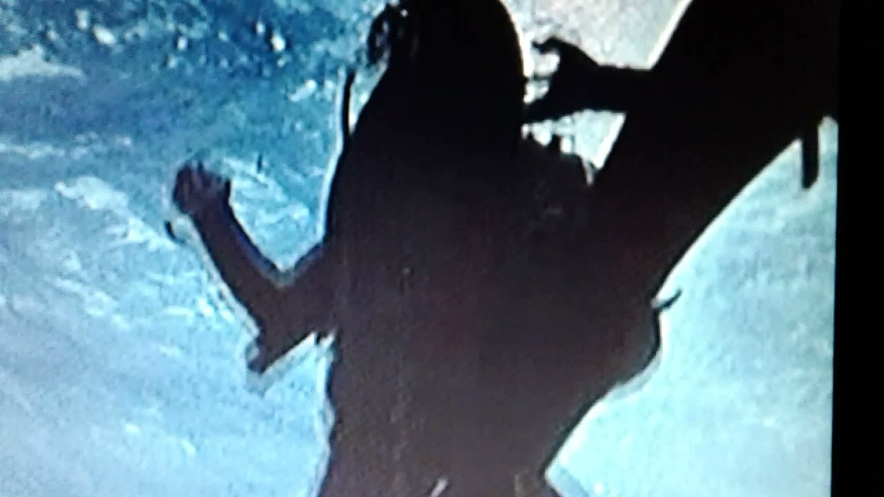 SHARK! (1969)