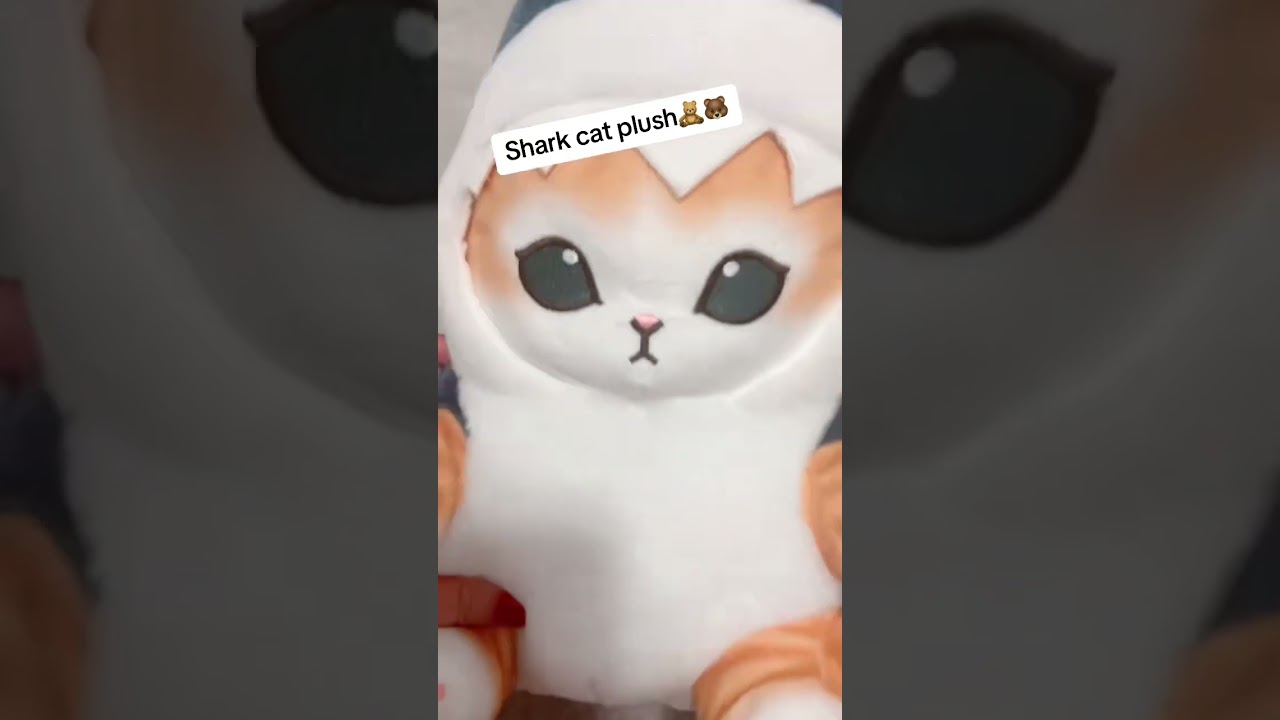 Shark cat plush #sharks #cats #plushies #plush #tiktokmademebuyit #amazonfinds