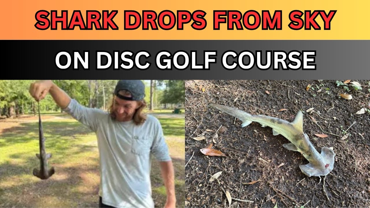 Shark falls out of sky on unsuspecting disc golfers in South Carolina