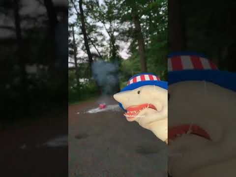 SHARK PUPPET 4TH OF JULY