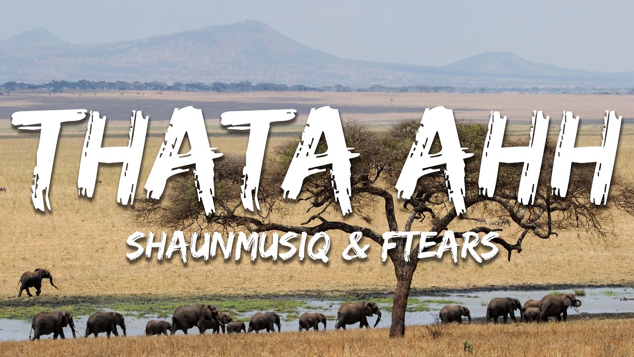 ShaunMusiq & FTears - Thata Ahh ft. Young Stunna, Madumane & Tyla (Lyrics)