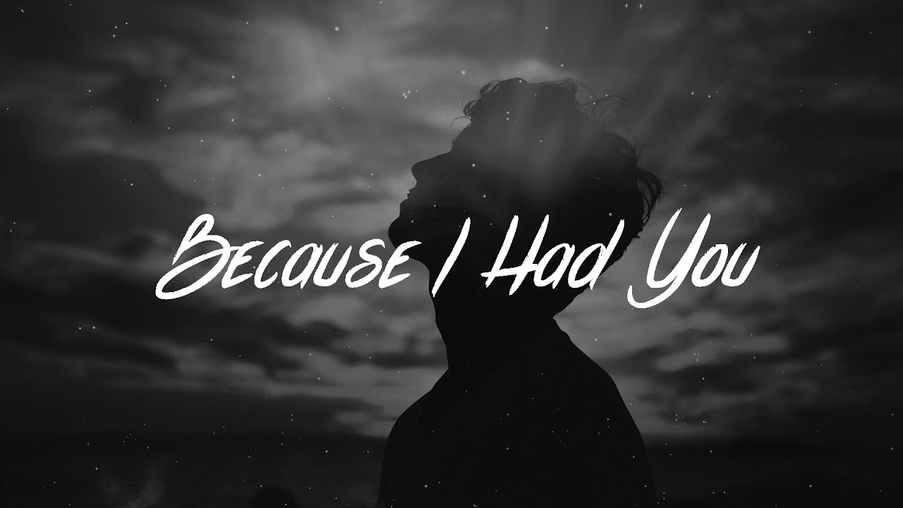 Shawn Mendes - Because I Had You (Lyrics)