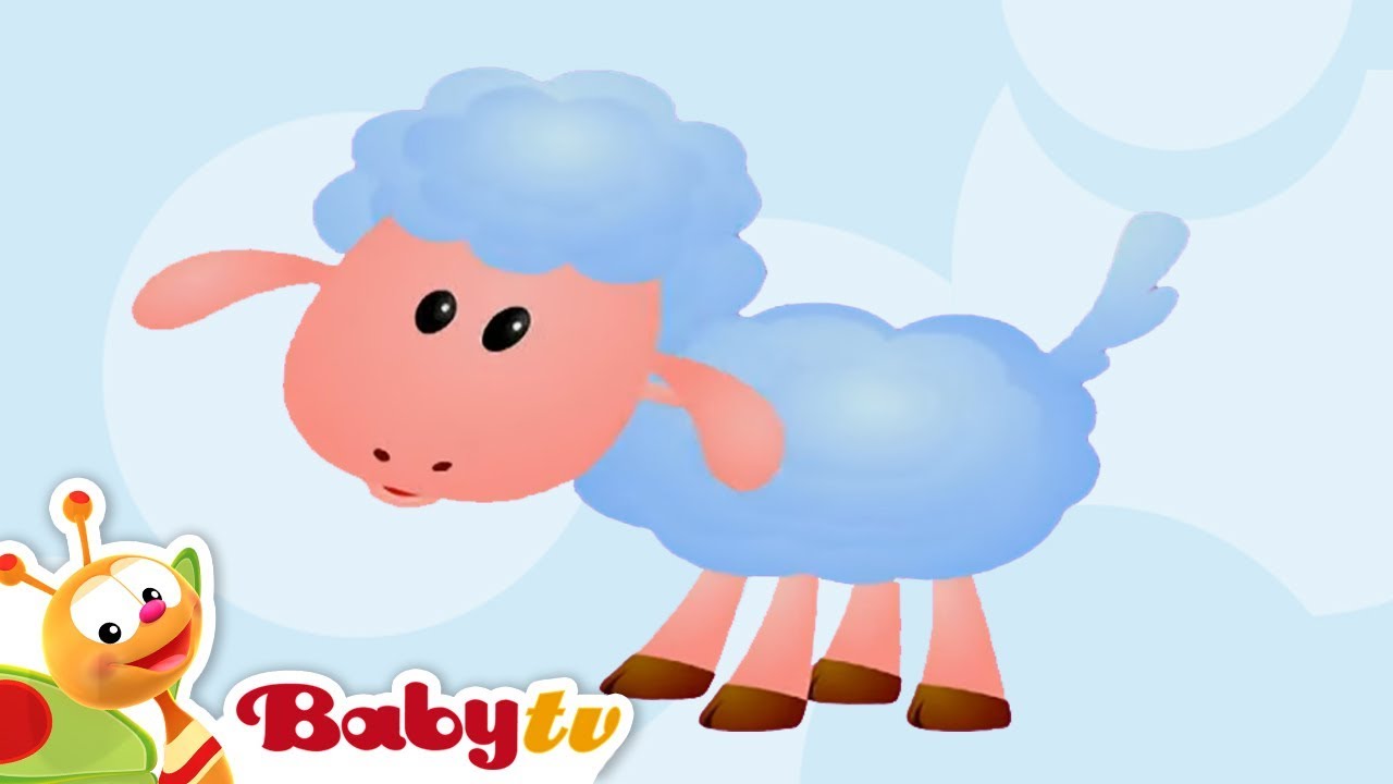 Sheep 🐏​ | Animal Sounds and Names for Kids & Toddlers | Cartoons @BabyTV
