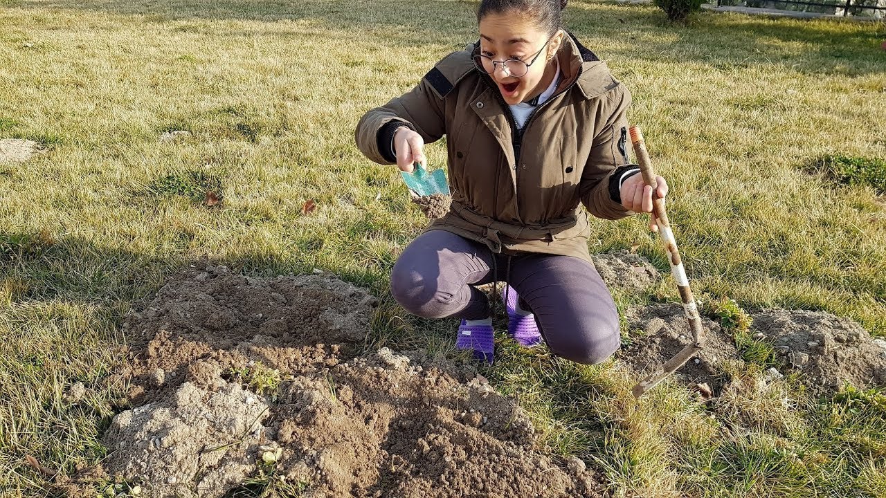 SÜHEYLA KÖSTEBEK YUVASI KAZIYOR TAHMİN EDİN NE BULDU ?