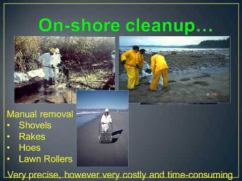 Shoreline Cleanup- 2014 EROS Video Module