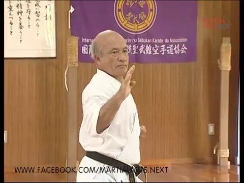 Shorin-ryu Seibukan. Wansu