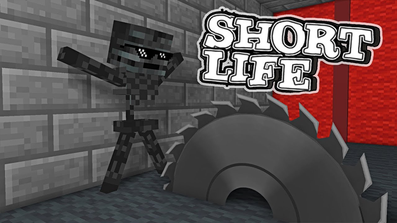 SHORT LIFE CHALLENGE | Platabush Animation