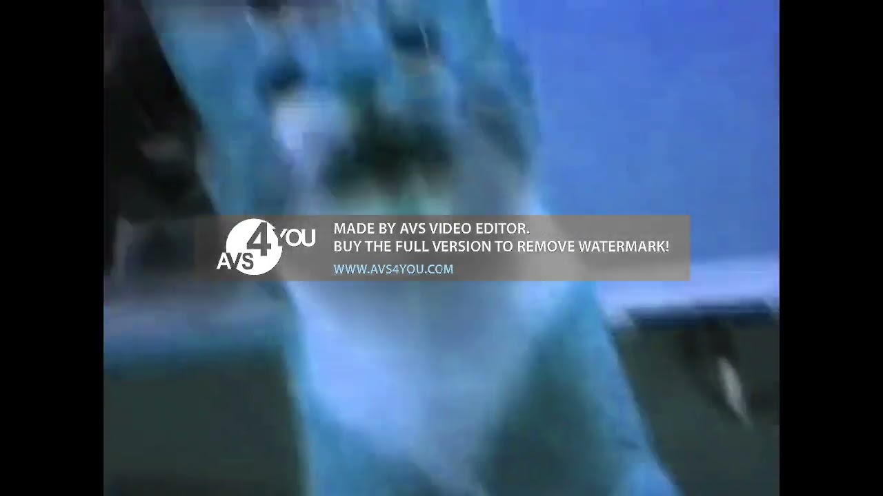 Shortest Video on YouTube Part 3 Effects (Inspired By SF1 Ident 2005 Effects)
