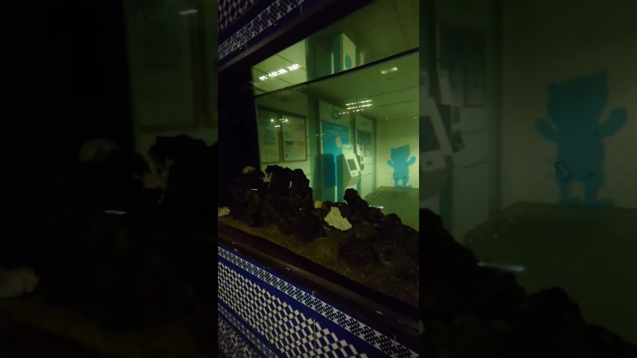 天神地下街　停電　#shorts