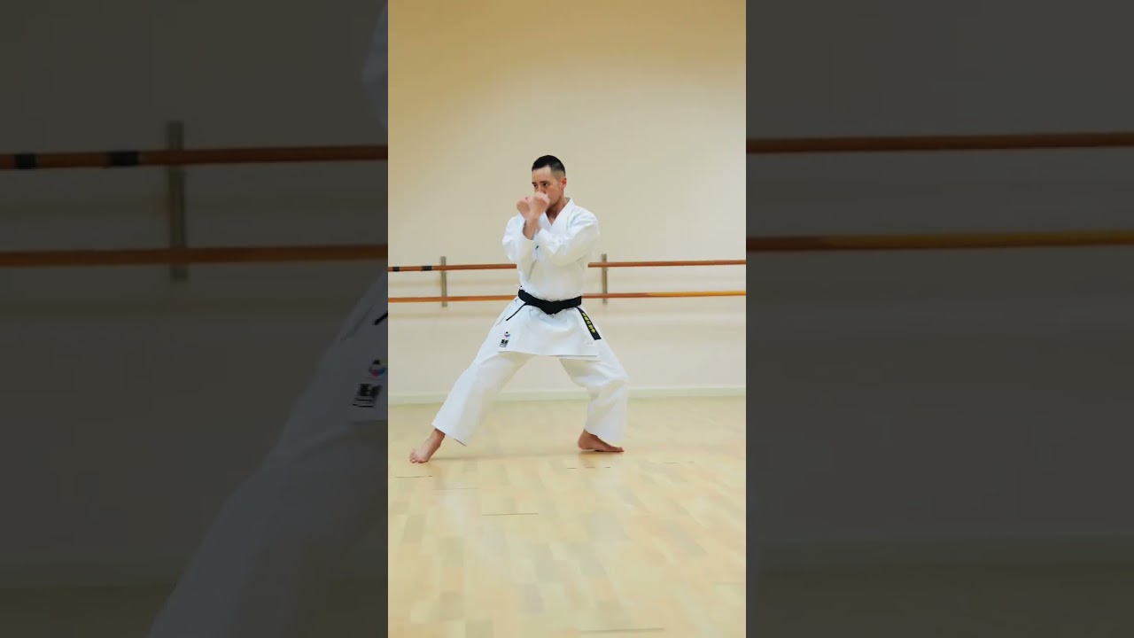 SHOTOKAN KARATE BLACK BELT (LEVEL 100) 🥋🔥