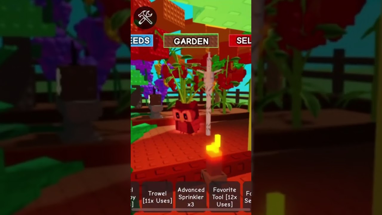 Showing my garden with @SigTill