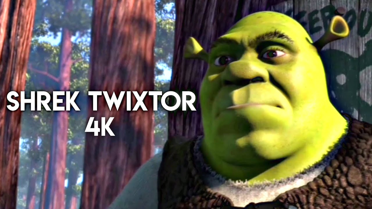 shrek 4k twixtor