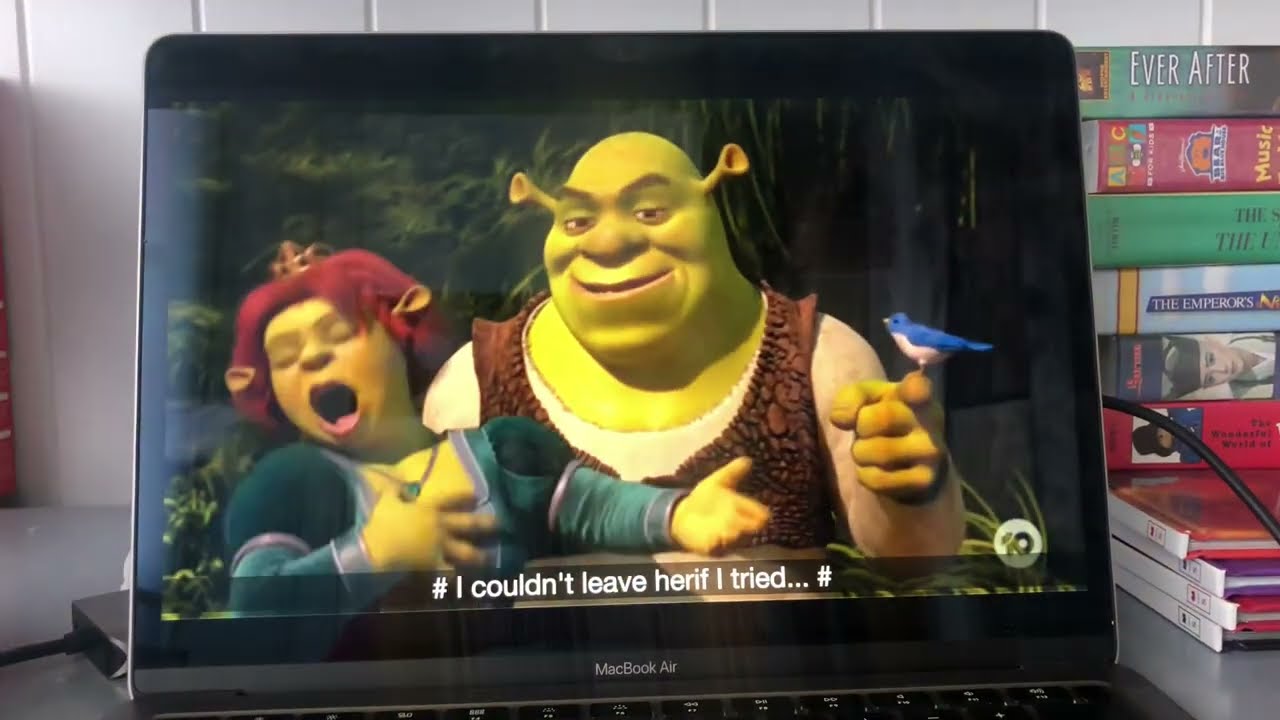 Shrek Forever After Channel 10 Outro