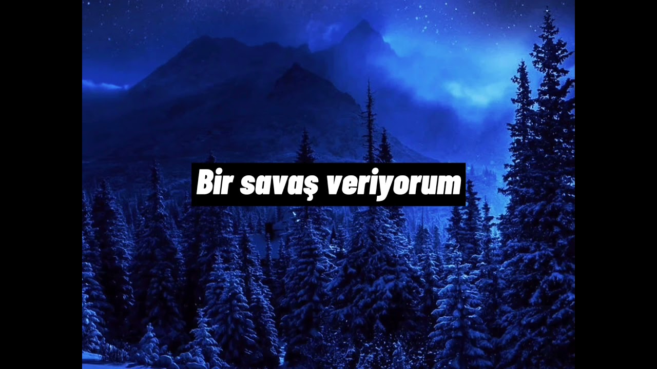 Sia- I’m still here (Türkçe Çeviri)