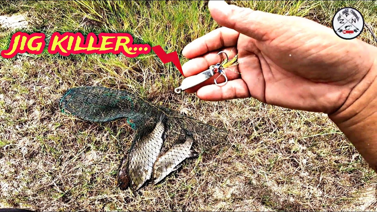 Siakap | baramundi on jig | wajib ade jig ni kalau nak casting siakap