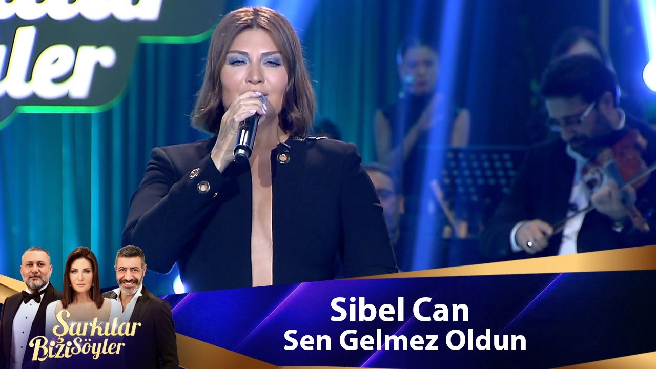 Sibel Can - SEN GELMEZ OLDUN