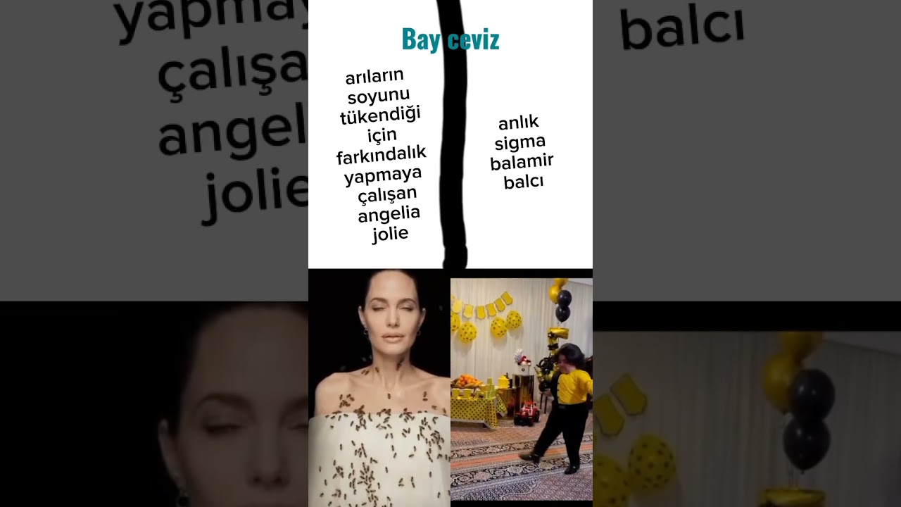 sigma balamir balcı