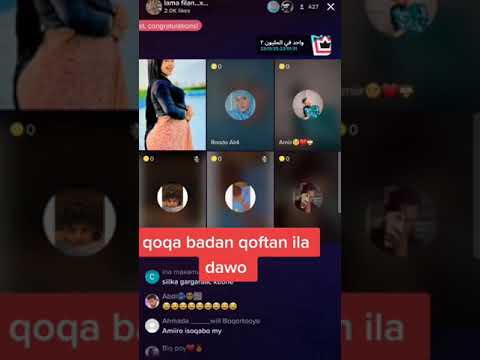 siigo mcn oo si live eh