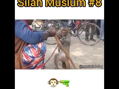 silah müslüm 8 antep  dublaj