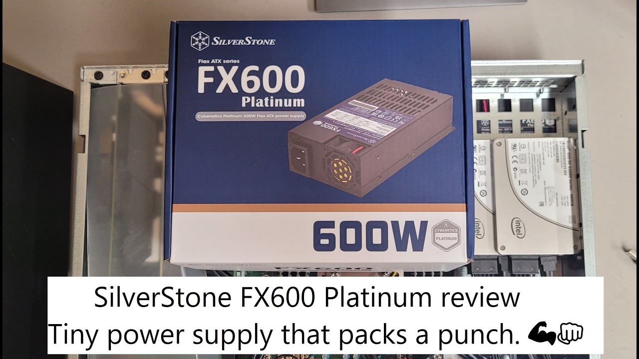SilverStone FX600 Review:  Why This is the Ultimate Flex ATX PSU for Custom Edge Servers