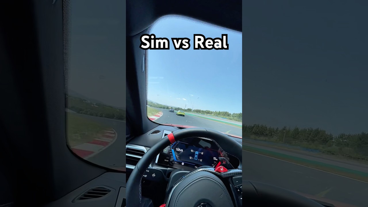 Sim vs Real￼