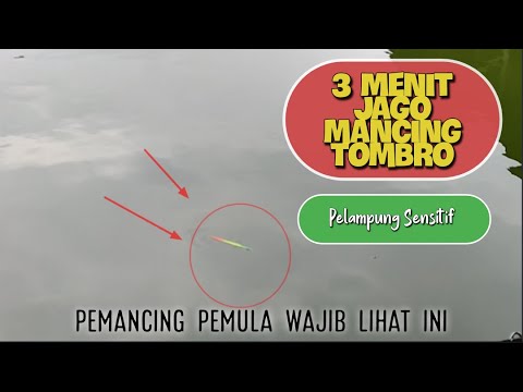 Simak VIdeo ini..!!! 3 Menit jago mancing ikan mas/tombro (Eps.18)