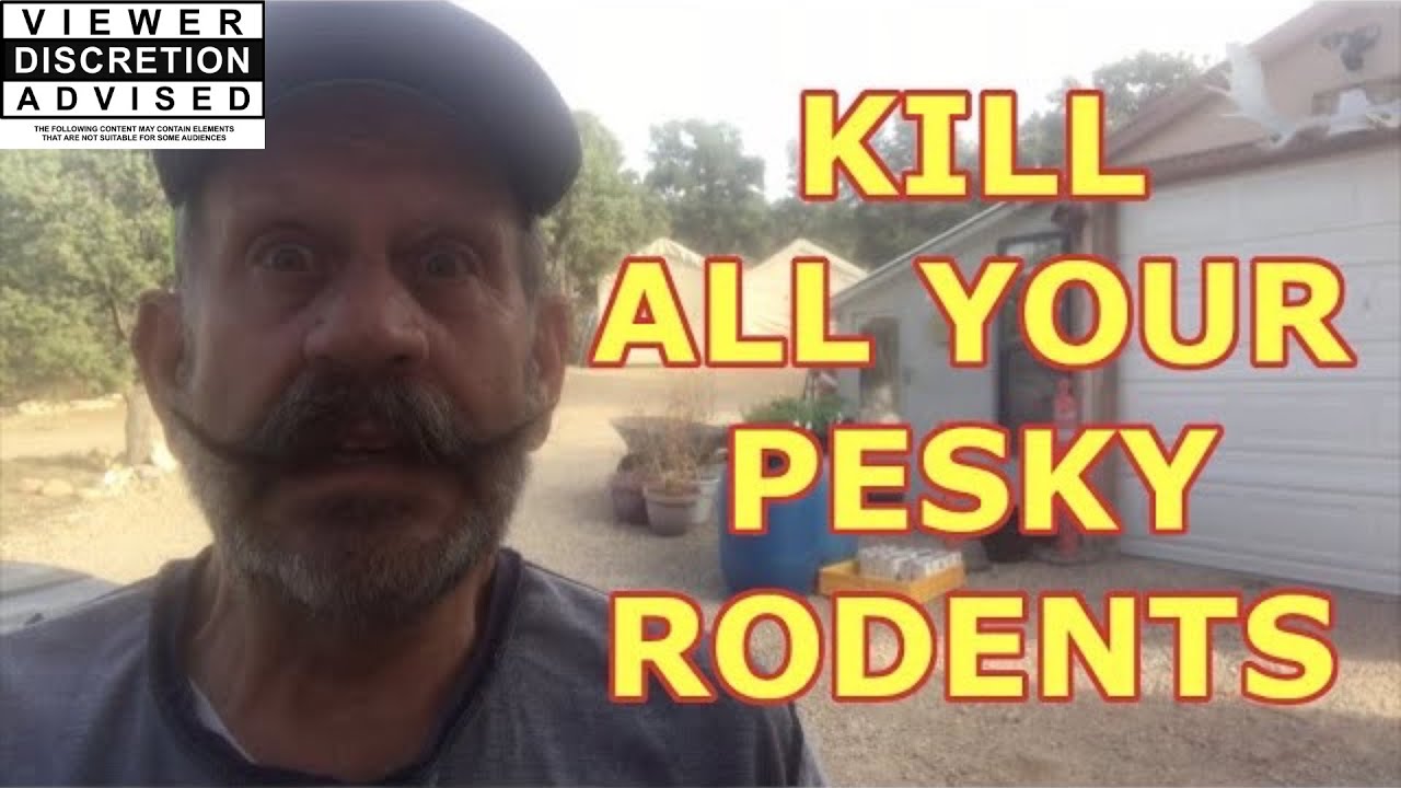 SIMPLE & EASY-Kill All Your Pesky Rodents without poison or snap traps: As easy as making a PB&J