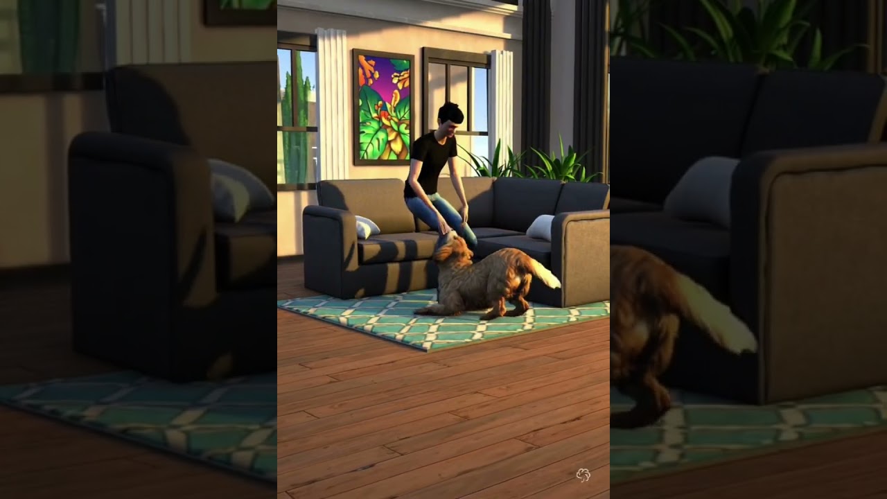 Sims with dog #sims4, #simsanimal, #simslife,#simsanimation, #simsdog,#dog, #dogplay, #simsplay