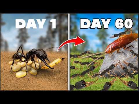 Simulating an Antcolony for 60 Days😱This Is What Happened!😱 ANTTREK