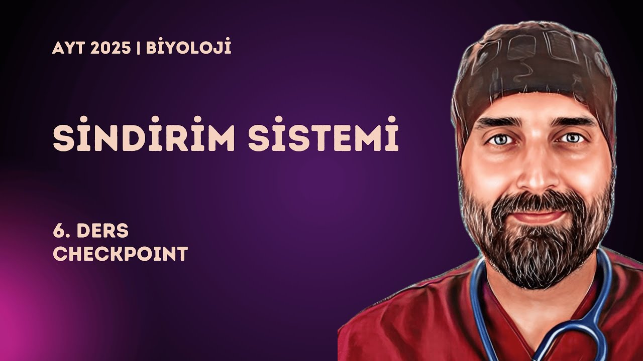 Sindirim Sistemi | 6. Ders Checkpoint | 2025 - YKS