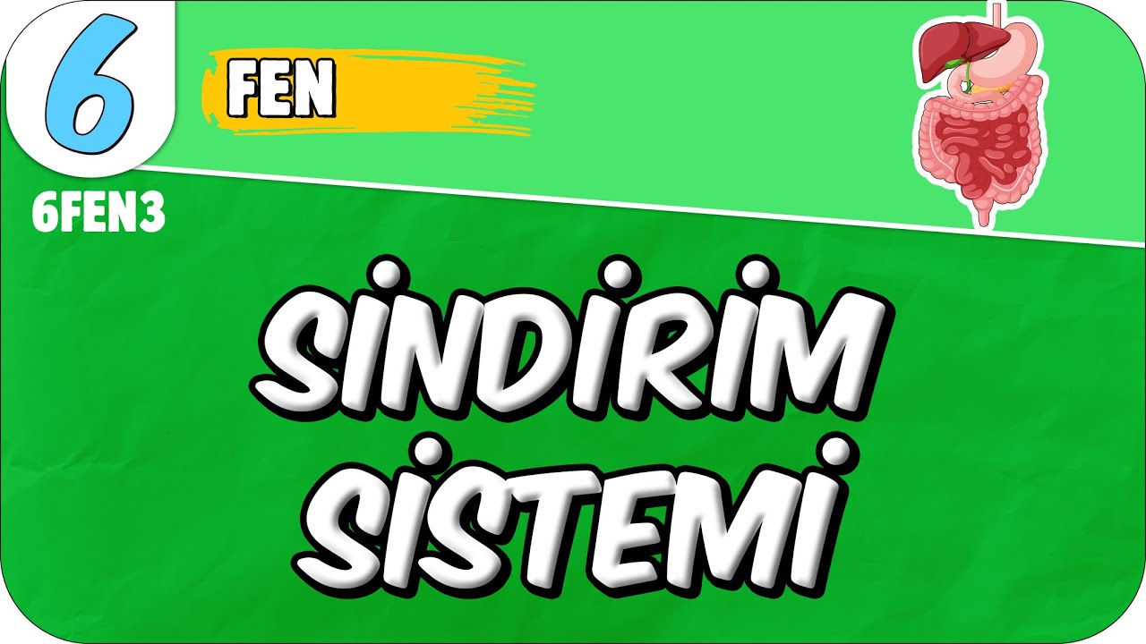 Sindirim Sistemi 📗 6FEN3 #2025
